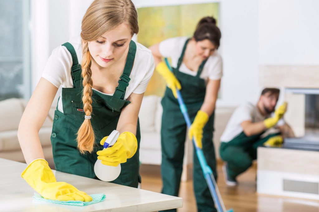 Kamila-House-Cleaning-Services-Glenview-il