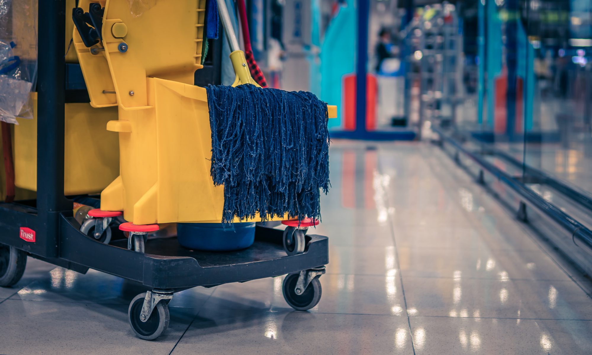 cleaning services near Lake in The Hills